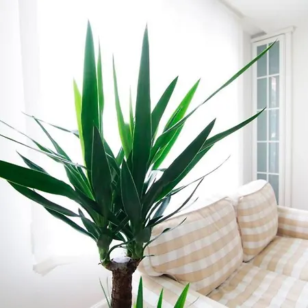 Apartamento Apartamento El Centro De